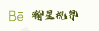 合作伙伴